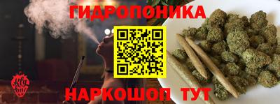 сатива Малгобек