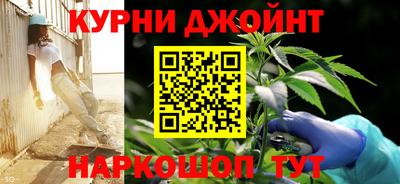 сатива Малгобек