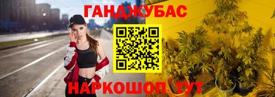сатива Малгобек