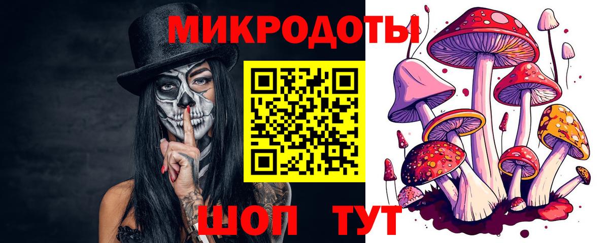 Псилоцибиновые грибы Psilocybine cubensis Шадринск