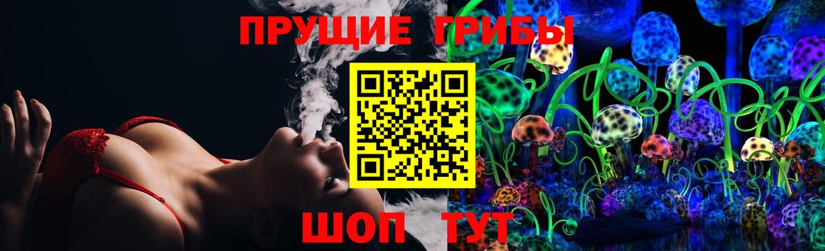 купить   Вход с VPN  Шадринск  Псилоцибиновые грибы MAGIC MUSHROOMS 